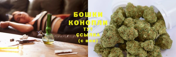 эйфоретик Белокуриха