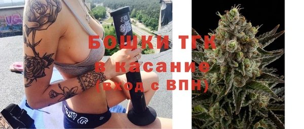 эйфоретик Белокуриха