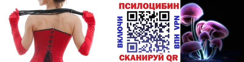OMG рабочий сайт Еманжелинск Галлюциногенные грибы Psilocybine cubensis
